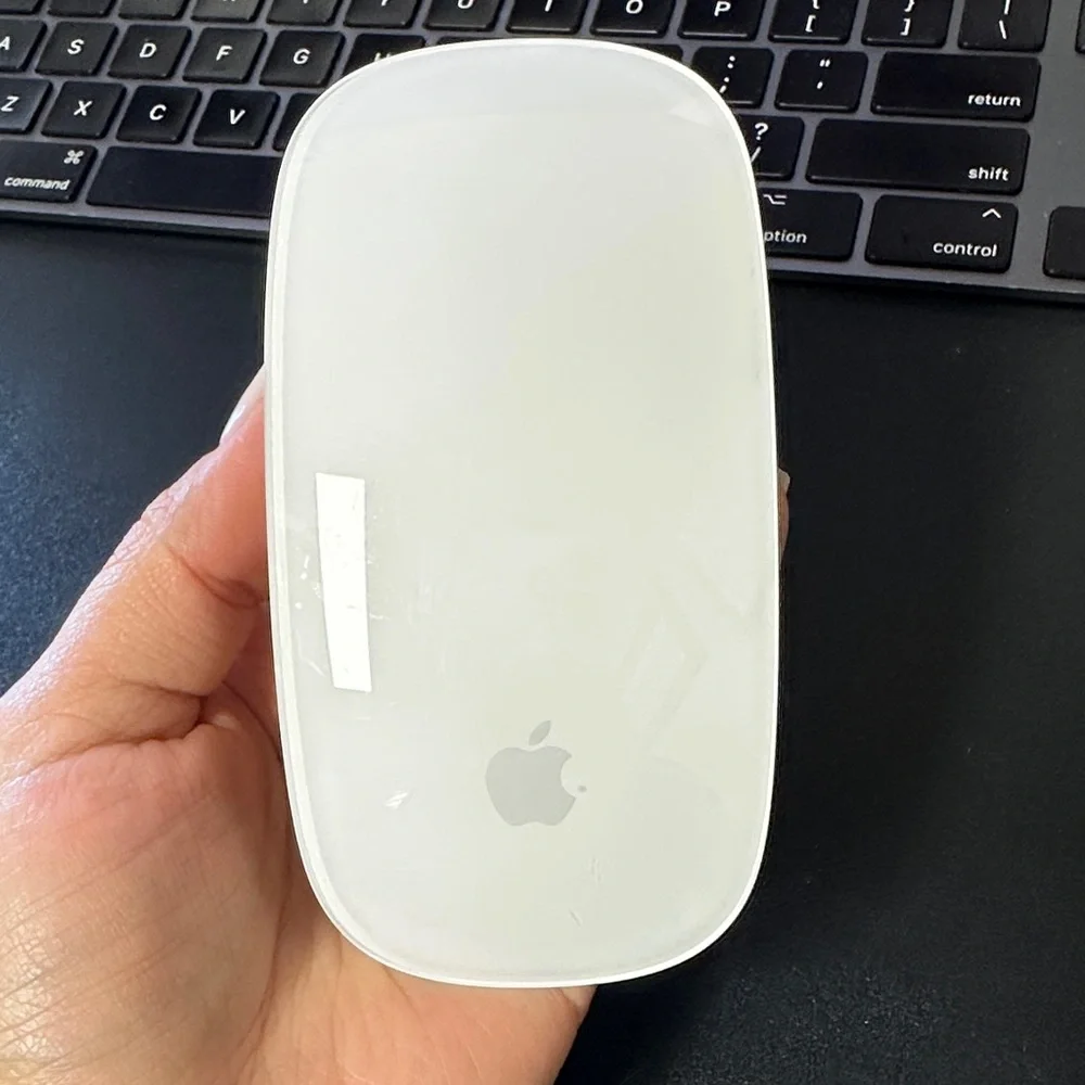 1 Magic Mouse